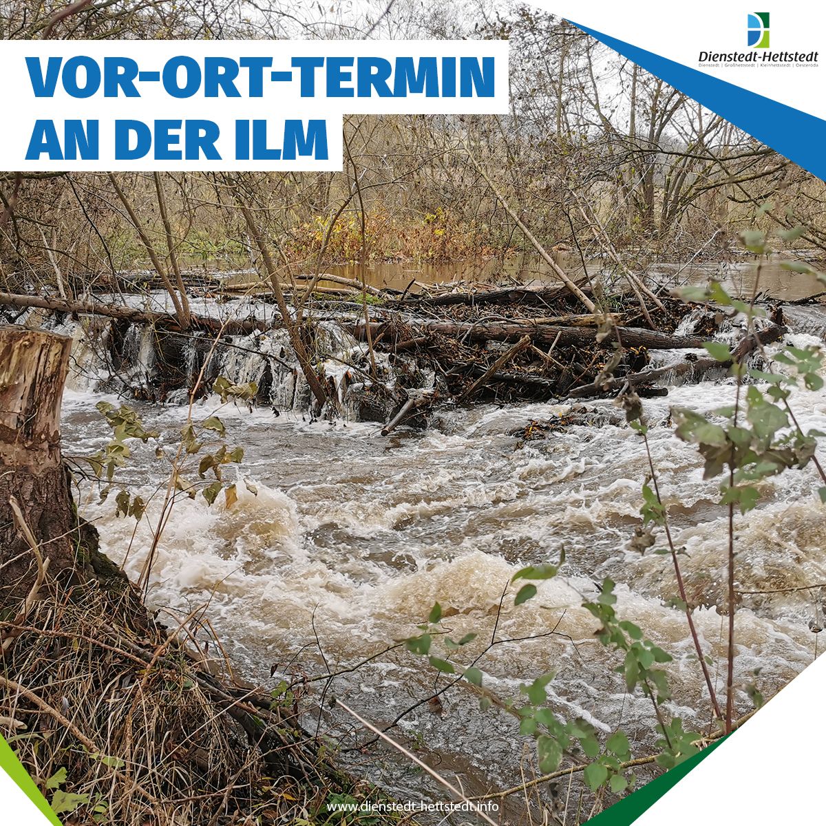 Vor-Ort-Termin an der Ilm